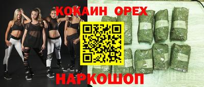 молекула духа Будённовск