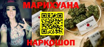 молекула духа Будённовск