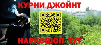 молекула духа Будённовск
