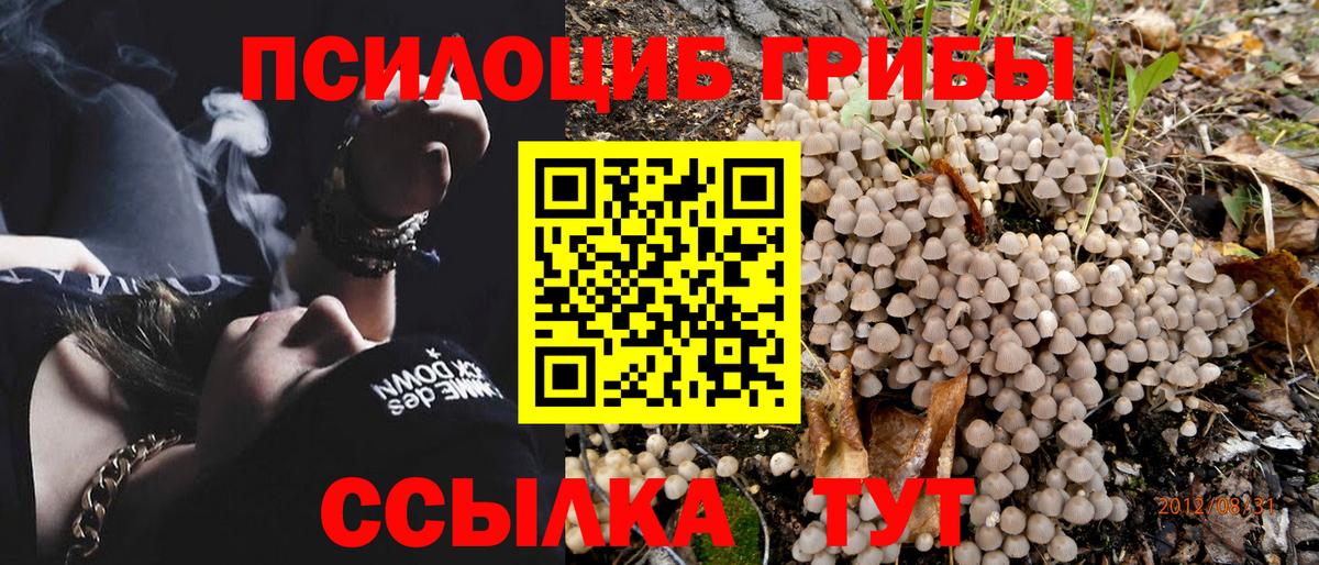 Галлюциногенные грибы ЛСД Балахна